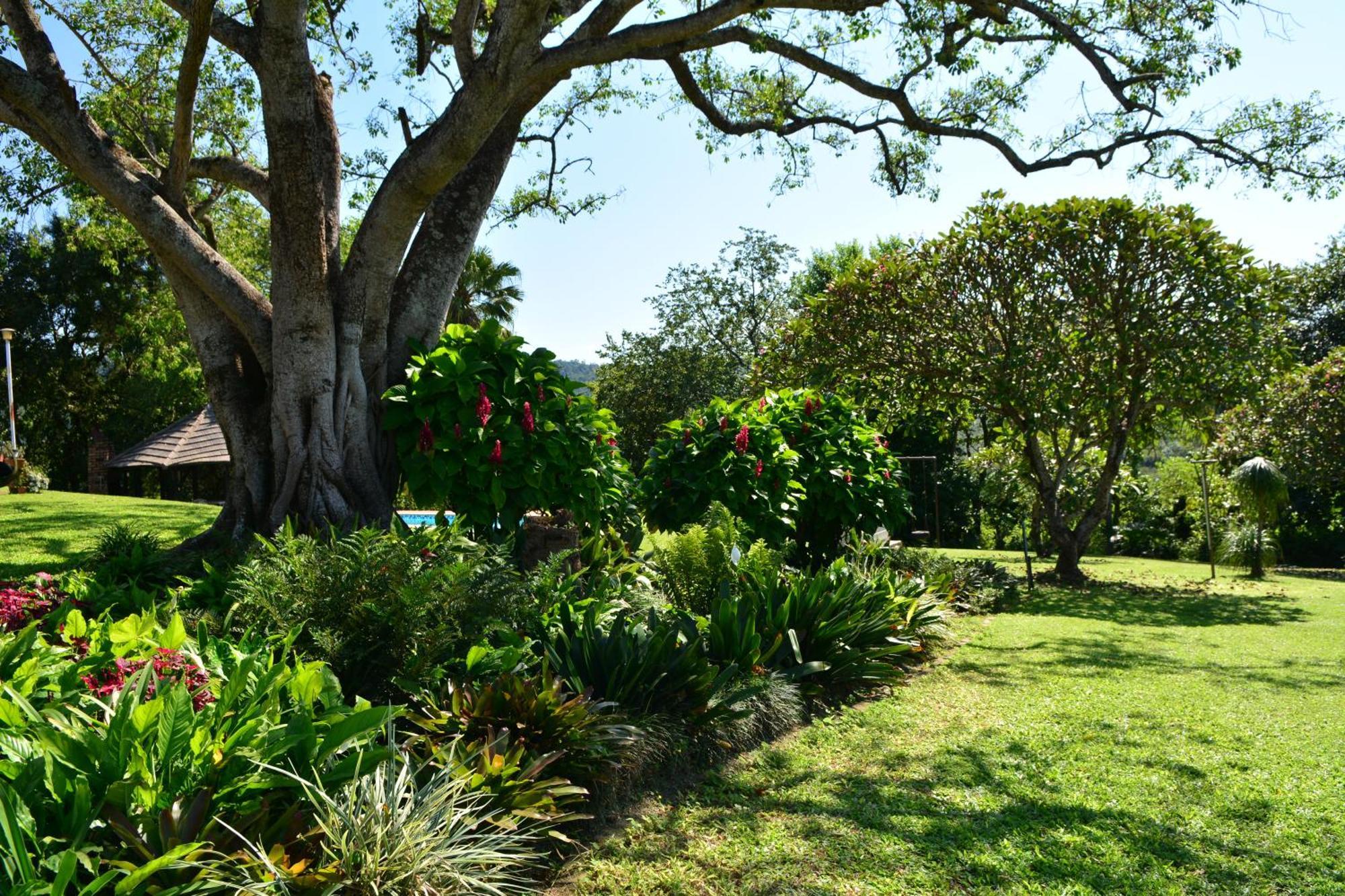 Oppi Plaas Villa Hazyview Esterno foto